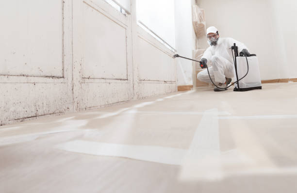 24/7 Emergency Mold Remediation experts in Vandalia, IL